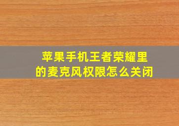 苹果手机王者荣耀里的麦克风权限怎么关闭