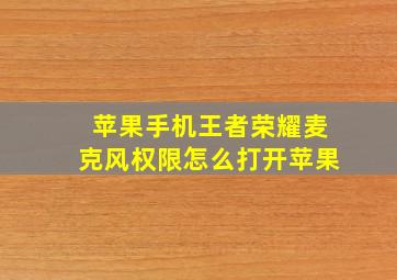 苹果手机王者荣耀麦克风权限怎么打开苹果