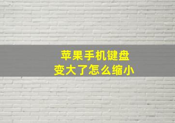 苹果手机键盘变大了怎么缩小