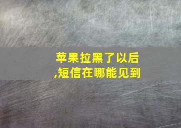 苹果拉黑了以后,短信在哪能见到