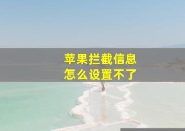 苹果拦截信息怎么设置不了