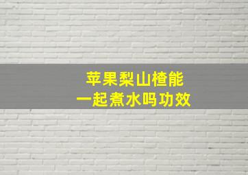 苹果梨山楂能一起煮水吗功效