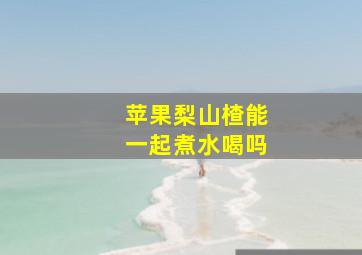 苹果梨山楂能一起煮水喝吗