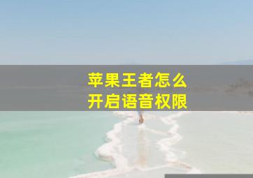 苹果王者怎么开启语音权限