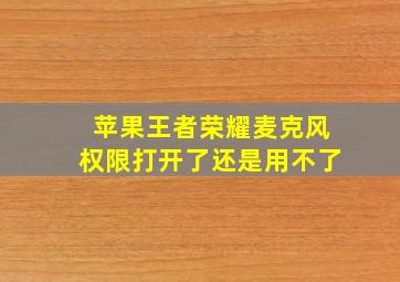 苹果王者荣耀麦克风权限打开了还是用不了