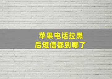 苹果电话拉黑后短信都到哪了