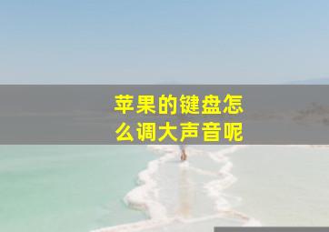 苹果的键盘怎么调大声音呢