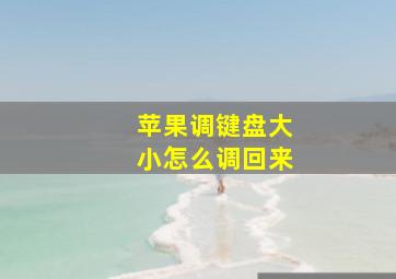 苹果调键盘大小怎么调回来