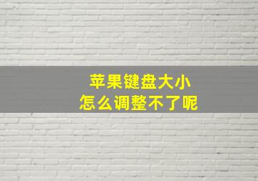 苹果键盘大小怎么调整不了呢