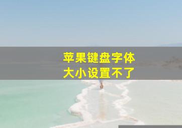 苹果键盘字体大小设置不了