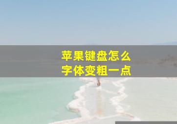 苹果键盘怎么字体变粗一点