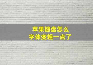 苹果键盘怎么字体变粗一点了