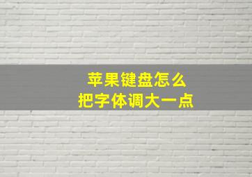 苹果键盘怎么把字体调大一点