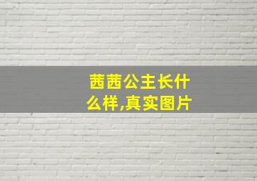 茜茜公主长什么样,真实图片