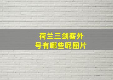 荷兰三剑客外号有哪些呢图片