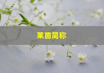 莱茵简称