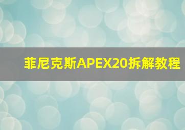 菲尼克斯APEX20拆解教程