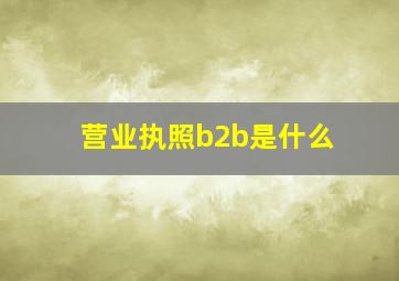 营业执照b2b是什么