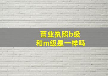 营业执照b级和m级是一样吗