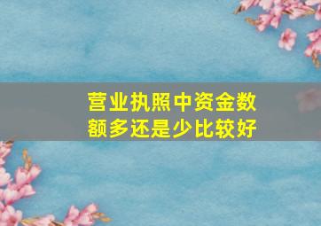 营业执照中资金数额多还是少比较好