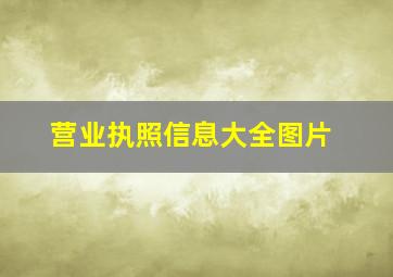 营业执照信息大全图片