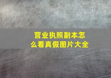 营业执照副本怎么看真假图片大全