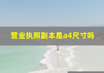 营业执照副本是a4尺寸吗