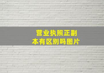 营业执照正副本有区别吗图片