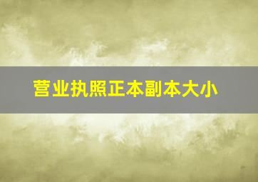 营业执照正本副本大小