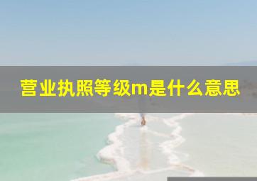 营业执照等级m是什么意思