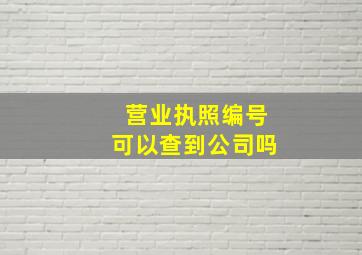 营业执照编号可以查到公司吗