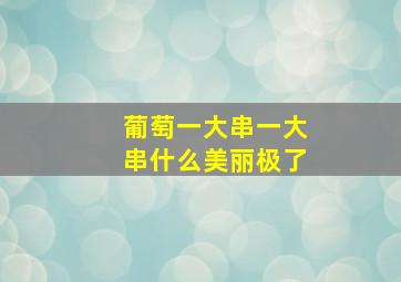 葡萄一大串一大串什么美丽极了