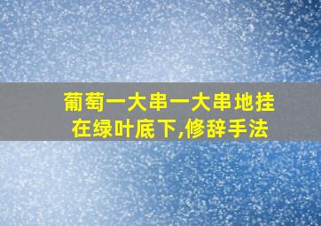 葡萄一大串一大串地挂在绿叶底下,修辞手法