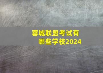 蓉城联盟考试有哪些学校2024