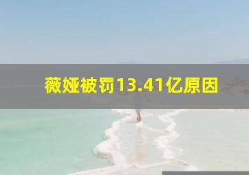 薇娅被罚13.41亿原因