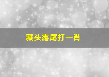 藏头露尾打一肖