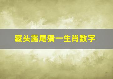 藏头露尾猜一生肖数字