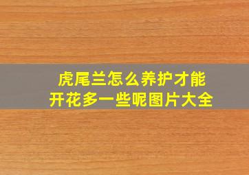 虎尾兰怎么养护才能开花多一些呢图片大全