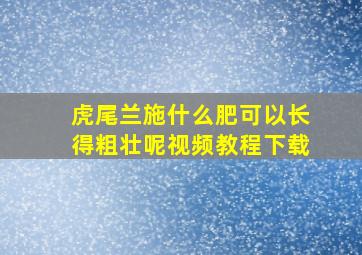 虎尾兰施什么肥可以长得粗壮呢视频教程下载