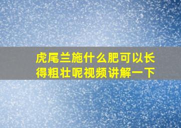 虎尾兰施什么肥可以长得粗壮呢视频讲解一下