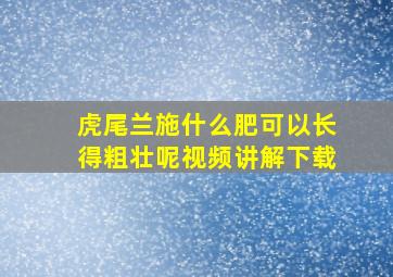 虎尾兰施什么肥可以长得粗壮呢视频讲解下载