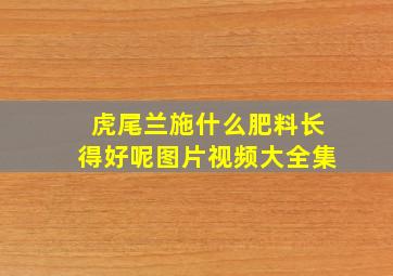 虎尾兰施什么肥料长得好呢图片视频大全集