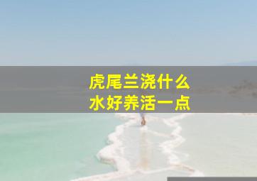 虎尾兰浇什么水好养活一点