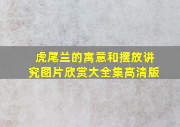 虎尾兰的寓意和摆放讲究图片欣赏大全集高清版