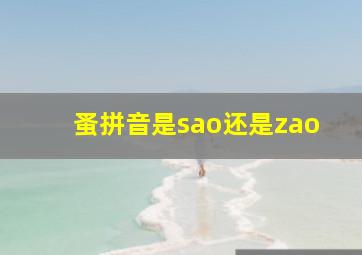 蚤拼音是sao还是zao