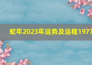 蛇年2023年运势及运程1977