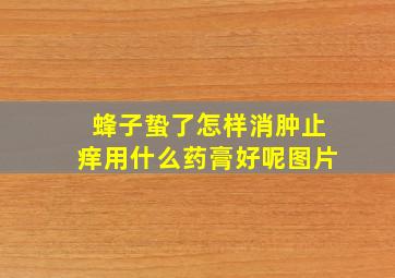 蜂子蛰了怎样消肿止痒用什么药膏好呢图片