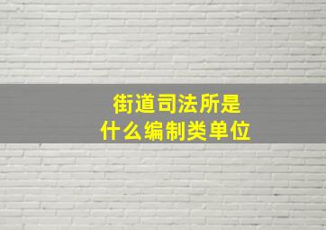 街道司法所是什么编制类单位