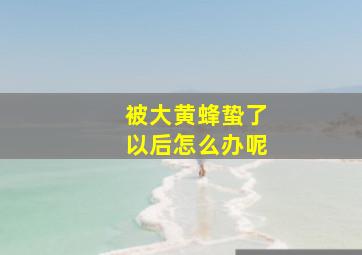 被大黄蜂蛰了以后怎么办呢