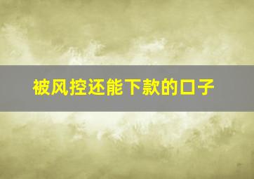 被风控还能下款的口子